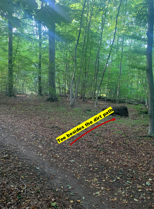 Weg zu Bahn 4 Weg / Path to Hole 4