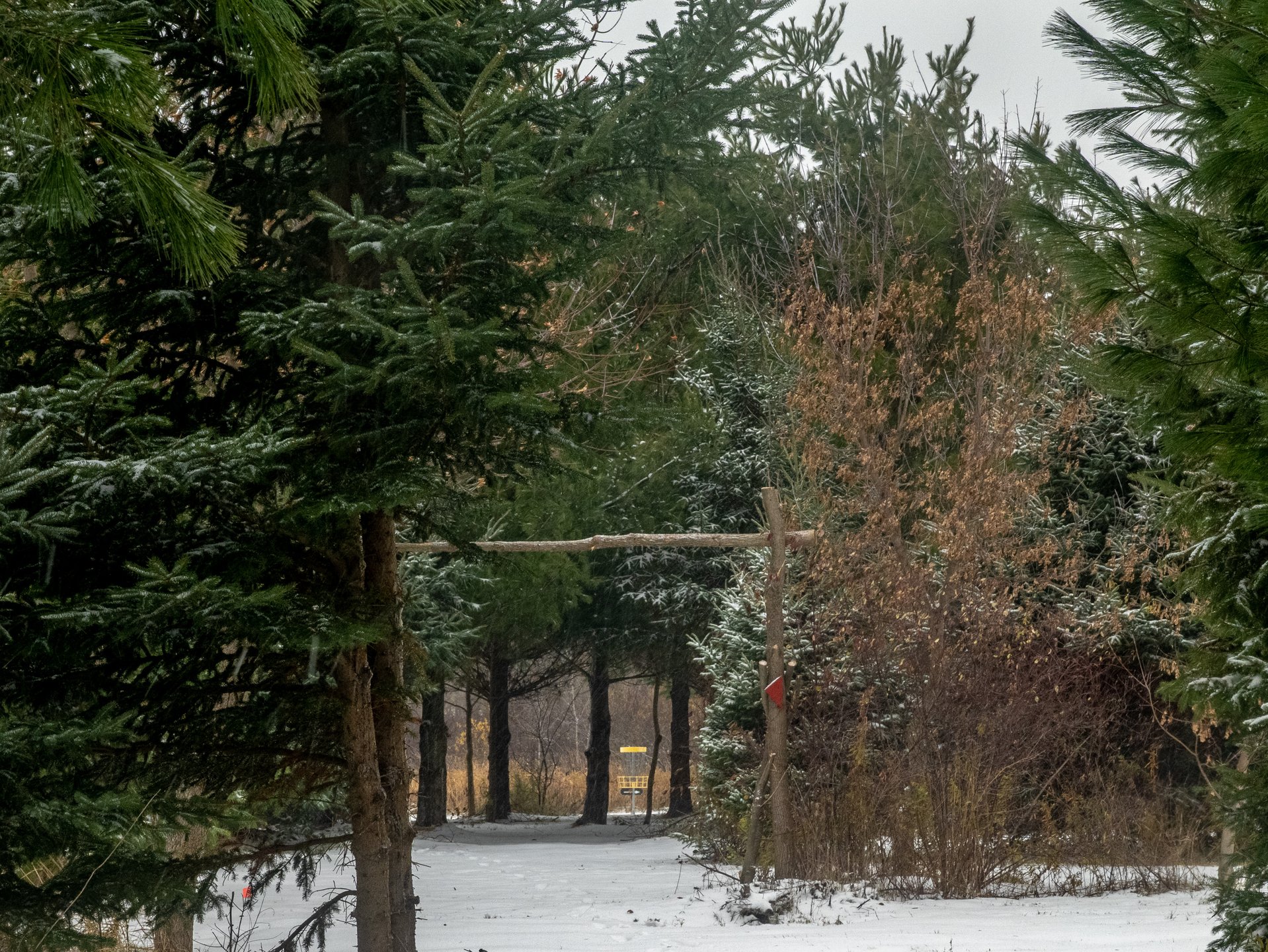 Triple mando from Hole 5 Long Tee.