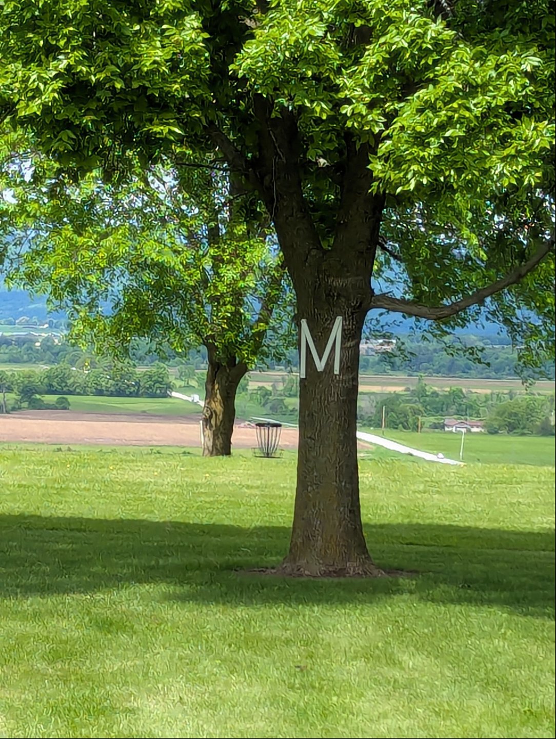 Mountain View DGC