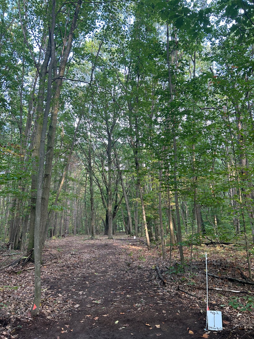 Hole 1 Long Tee