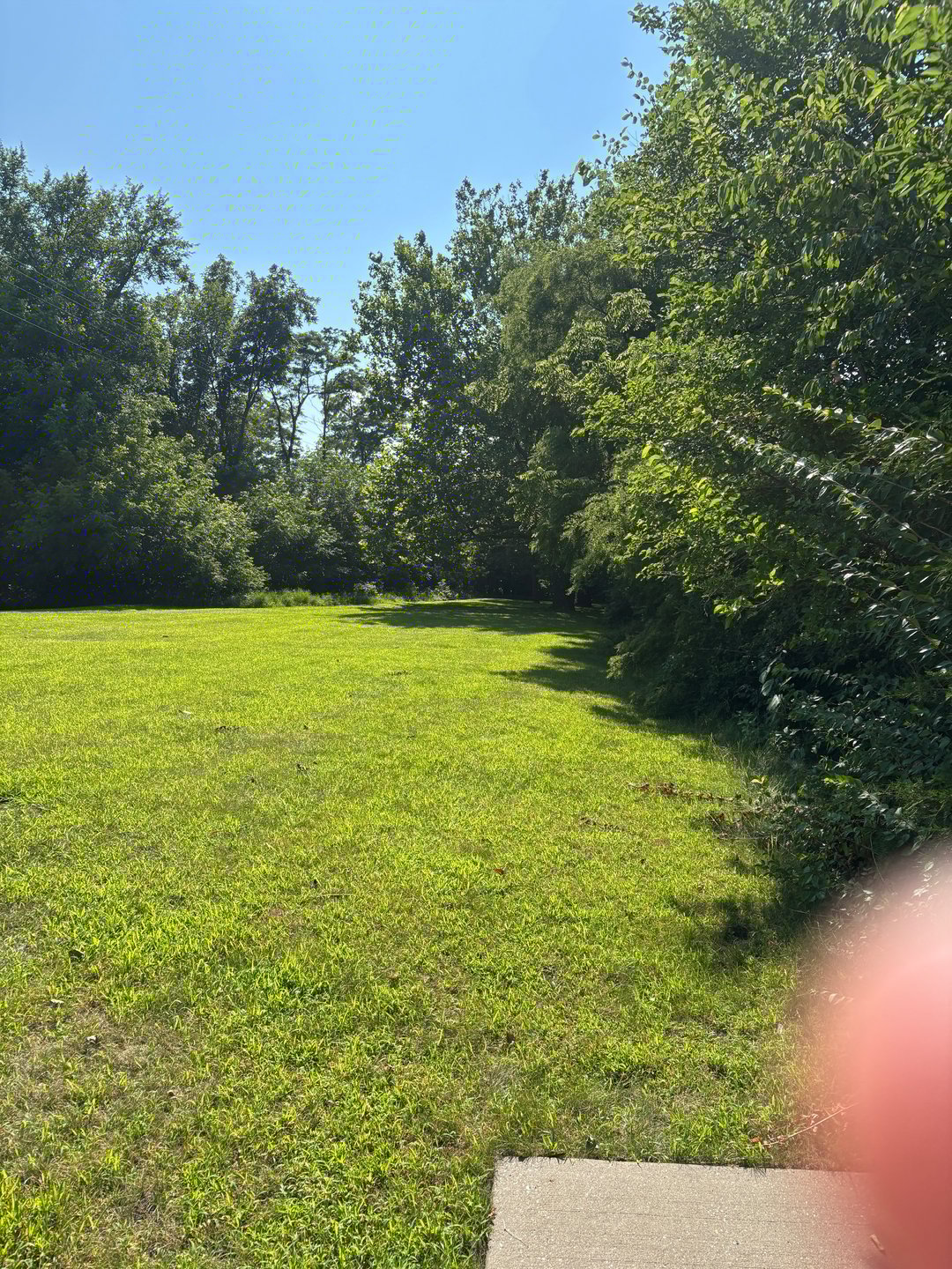 #5 Fairway