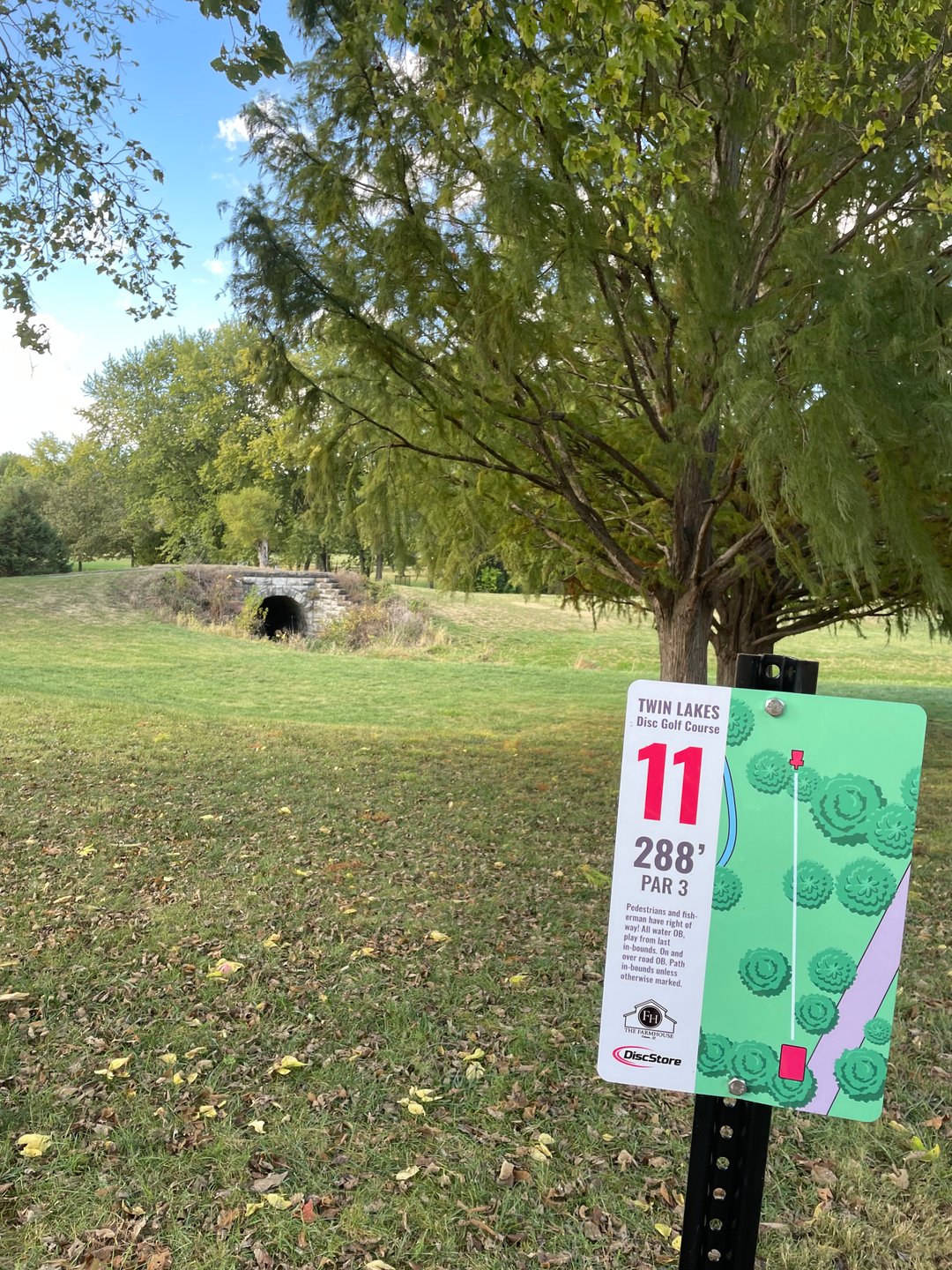 Bridge by hole 10