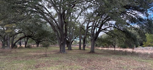 Albany Georgia Marine Base blue (longer layout) with pin between the last trees.  The course has two pins at all times allowing different skill levels of play on the course. 