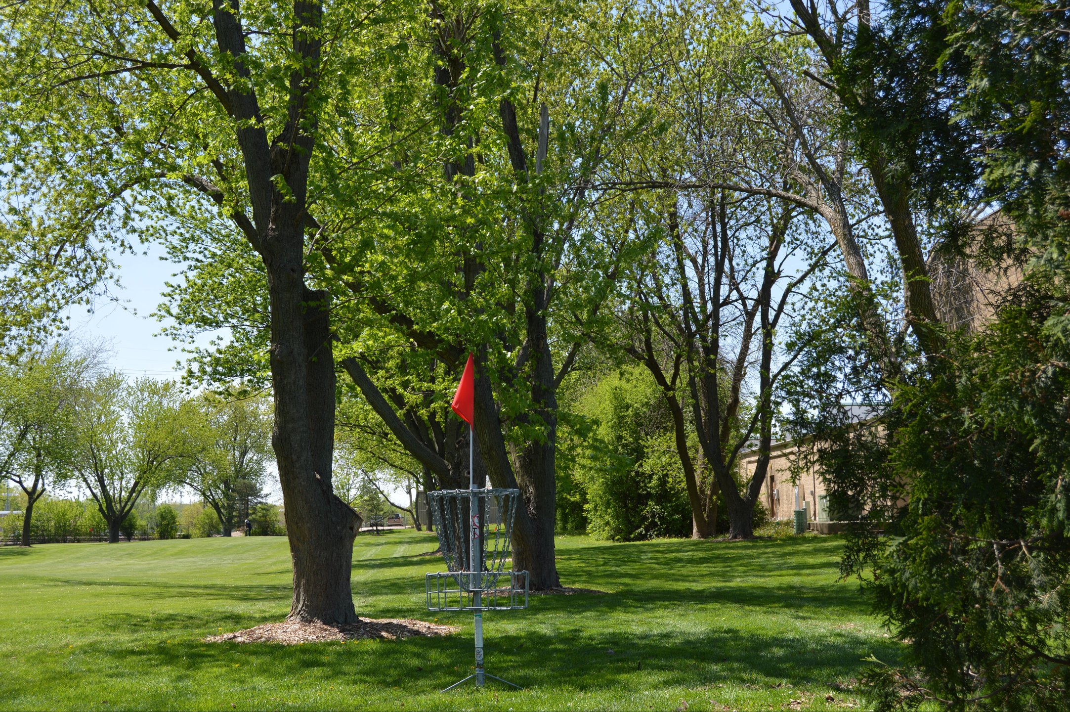 Basket Hole #5