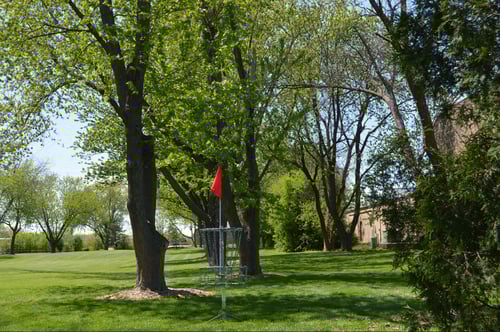 Basket Hole #5