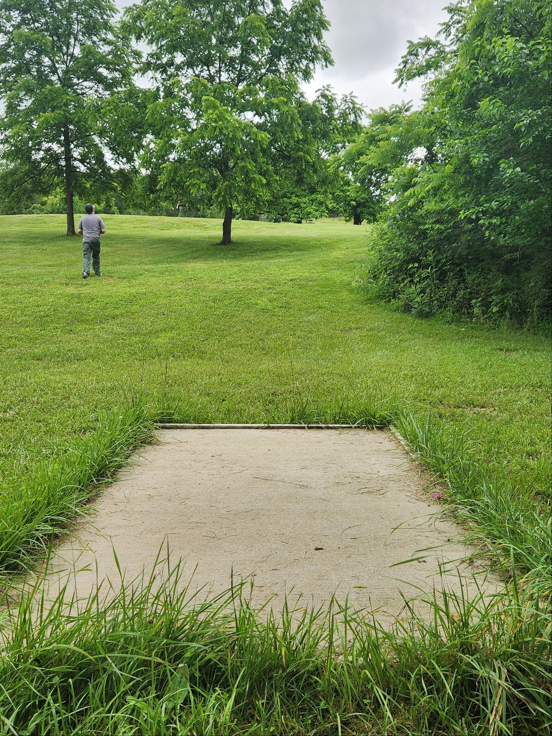 Tee pad and fairway