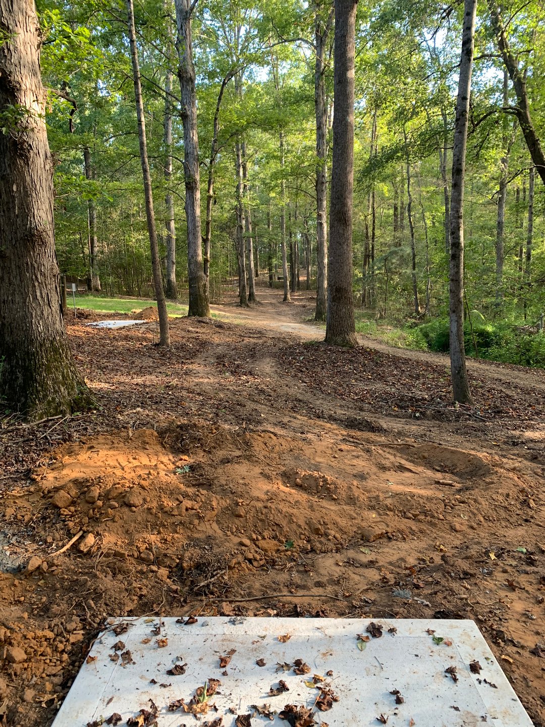 Hole 17 - Gold Tee (under construction)