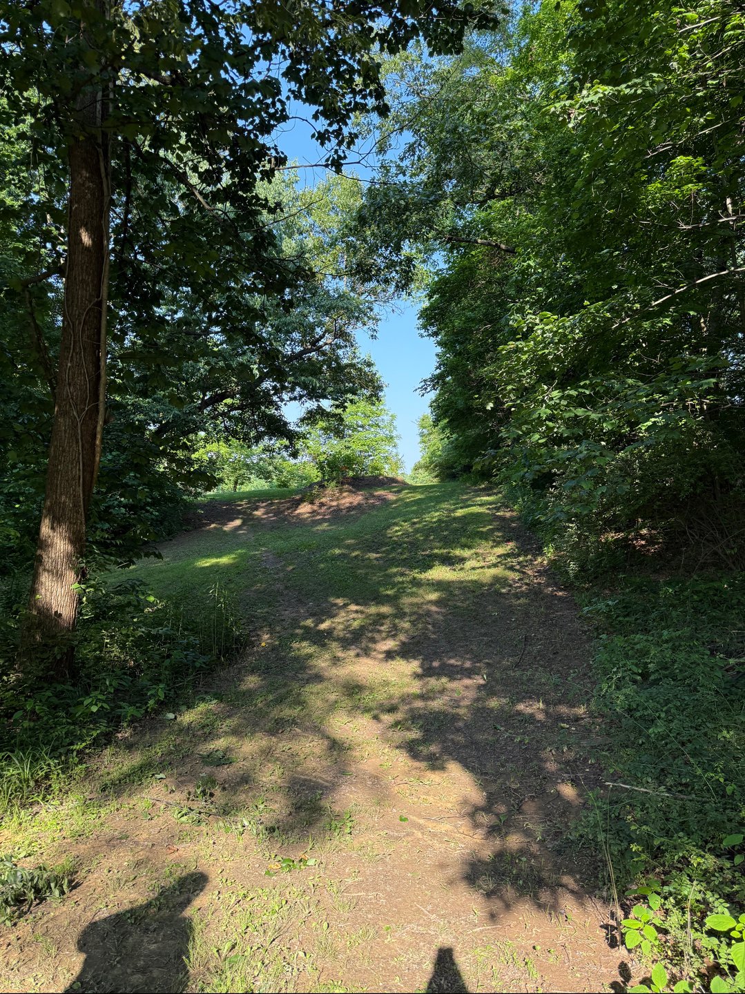 Hole 1 fairway 