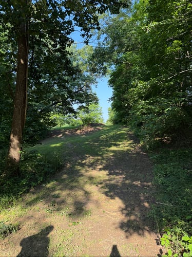 Hole 1 fairway 