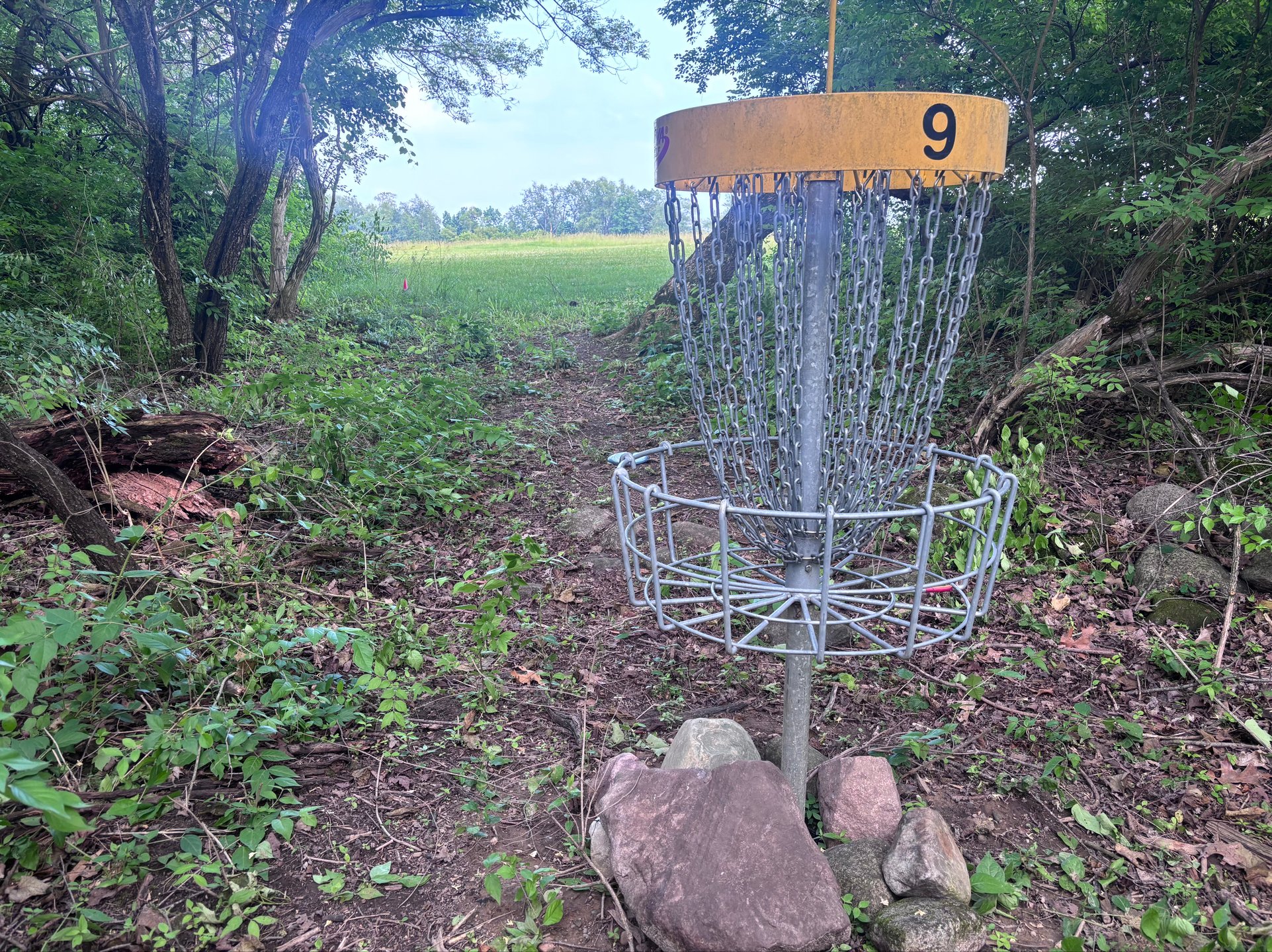 The end of hole 9 finishes tucked into the woods.