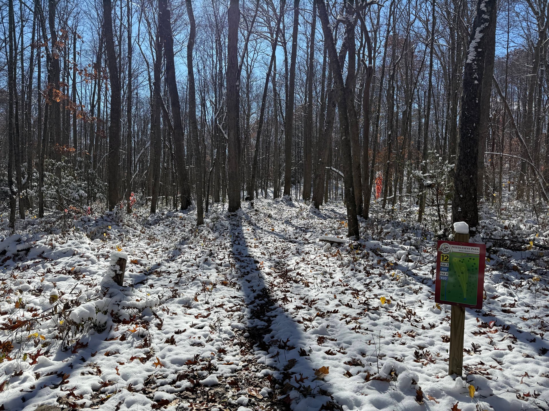 View from the teepad