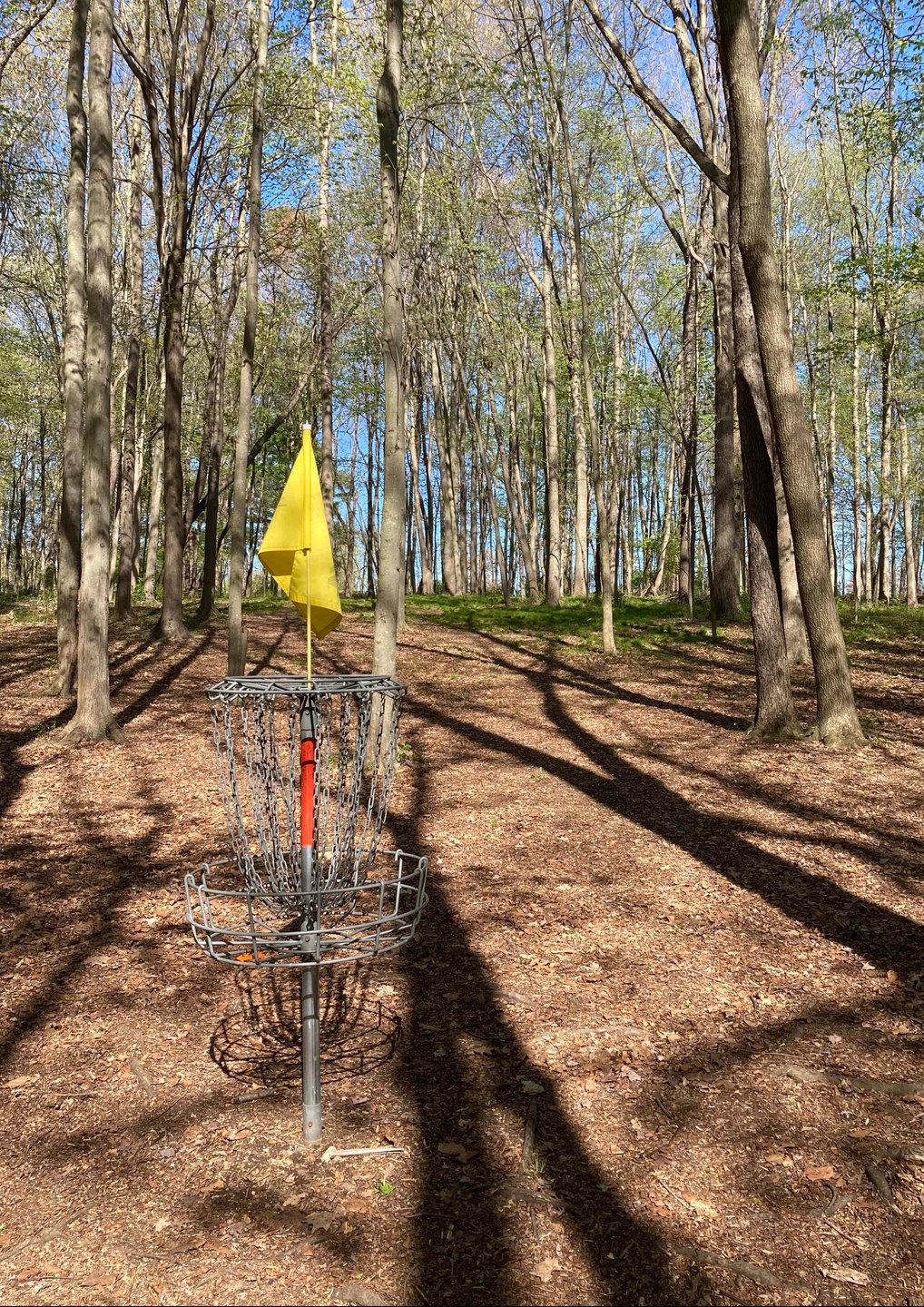 View from Hole 13 basket back up fairway