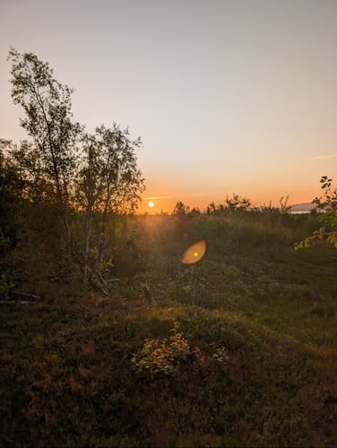 Kurven til hull 1 i midnattsol