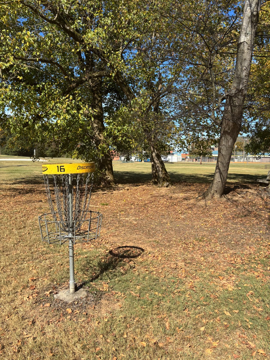 Hole #16 Basket to Tee