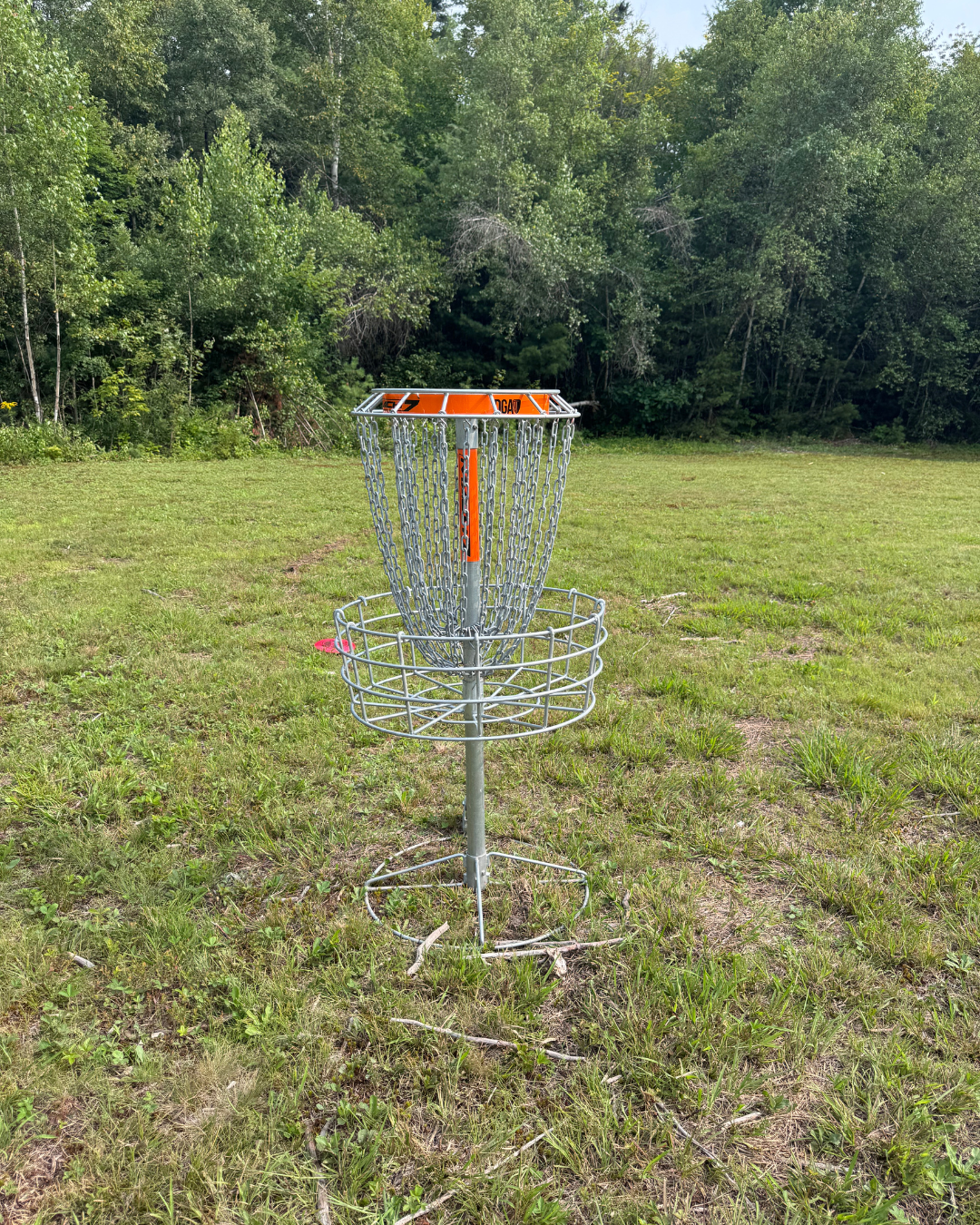 Hole 12 basket
