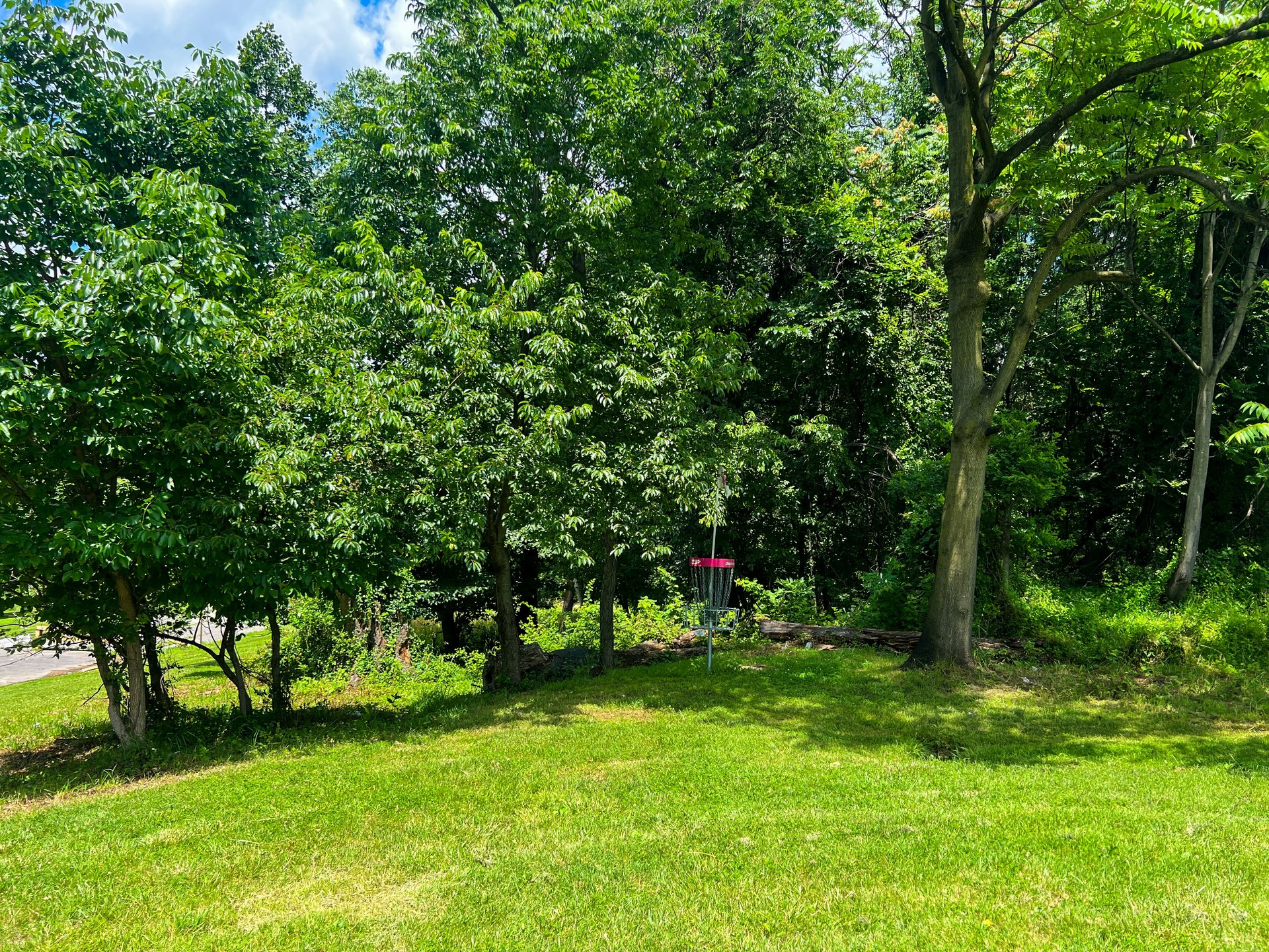 Hole 9's Pink Basket. Par 3. 354 ft. Road to the left is OB. 