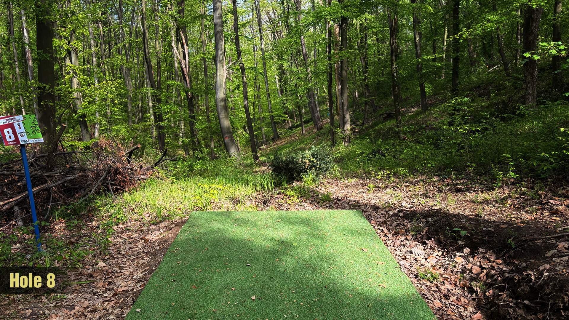 Tee 8