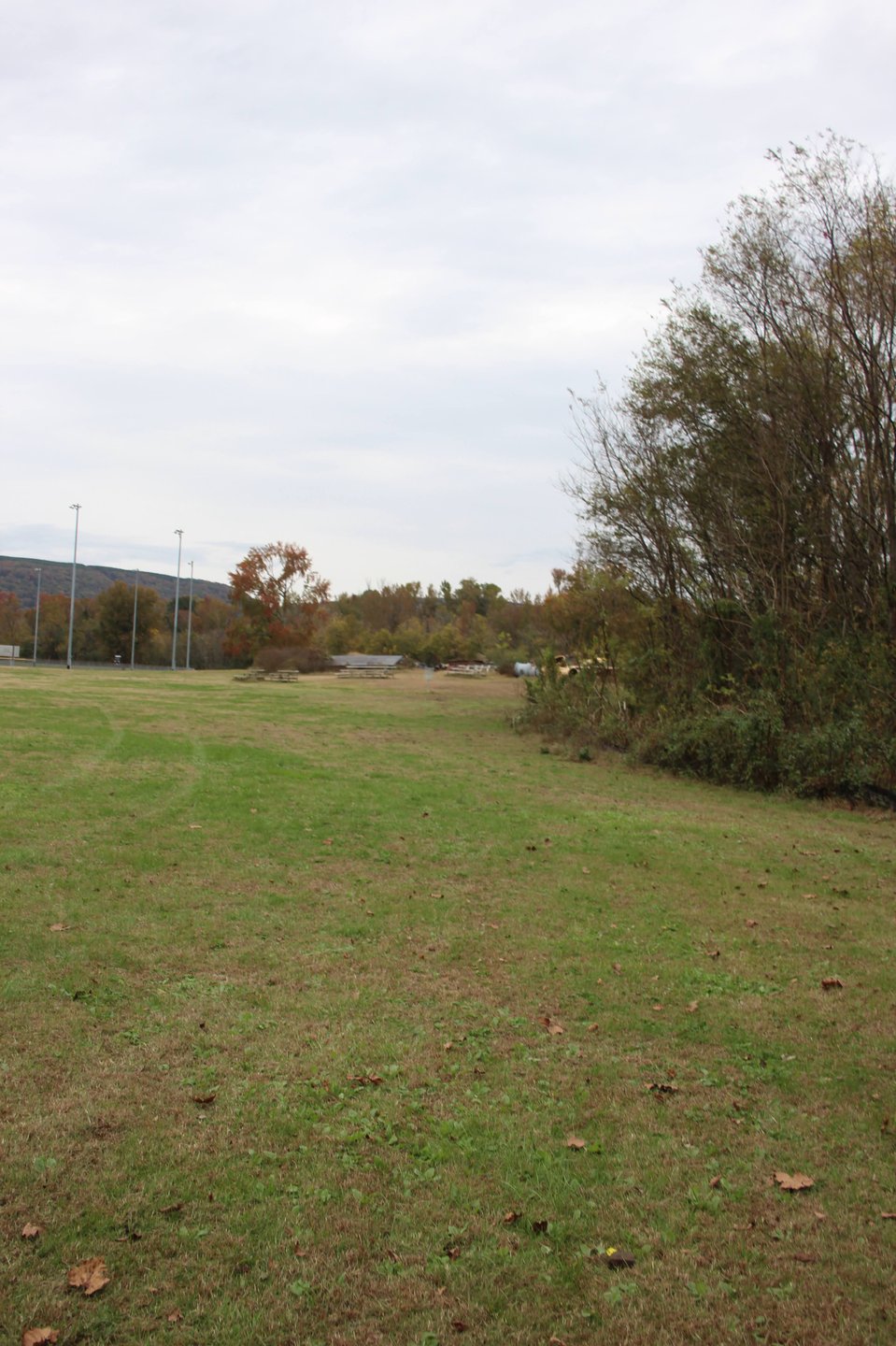 View from the tee pad. Anything right of the silk fence is OB.