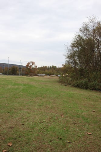 View from the tee pad. Anything right of the silk fence is OB.