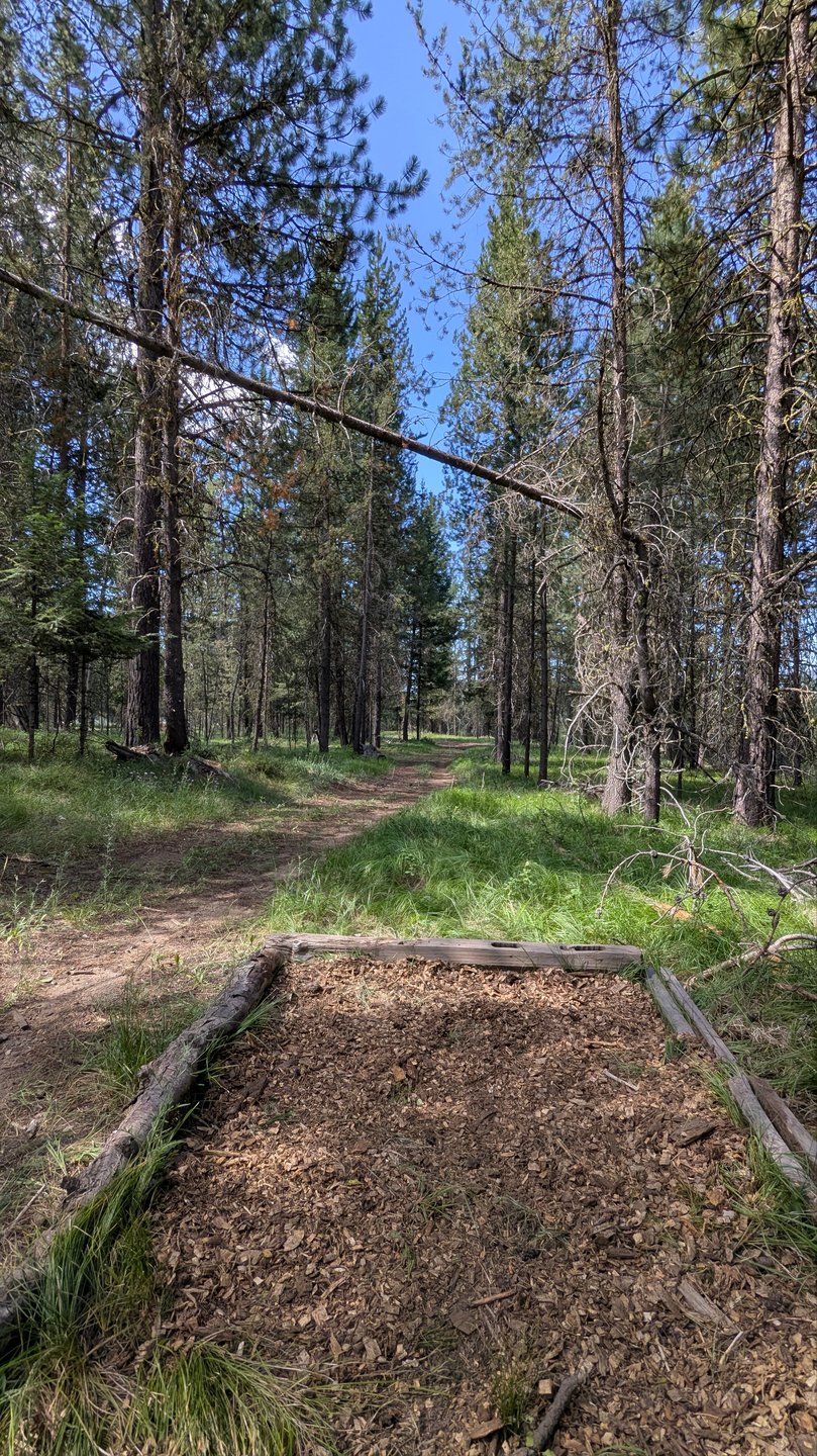 #10 Tee Pad and approach to dog leg landing zone (Par 4)