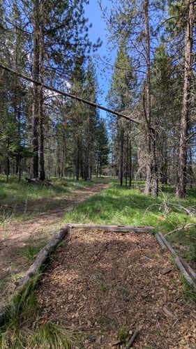 #10 Tee Pad and approach to dog leg landing zone (Par 4)