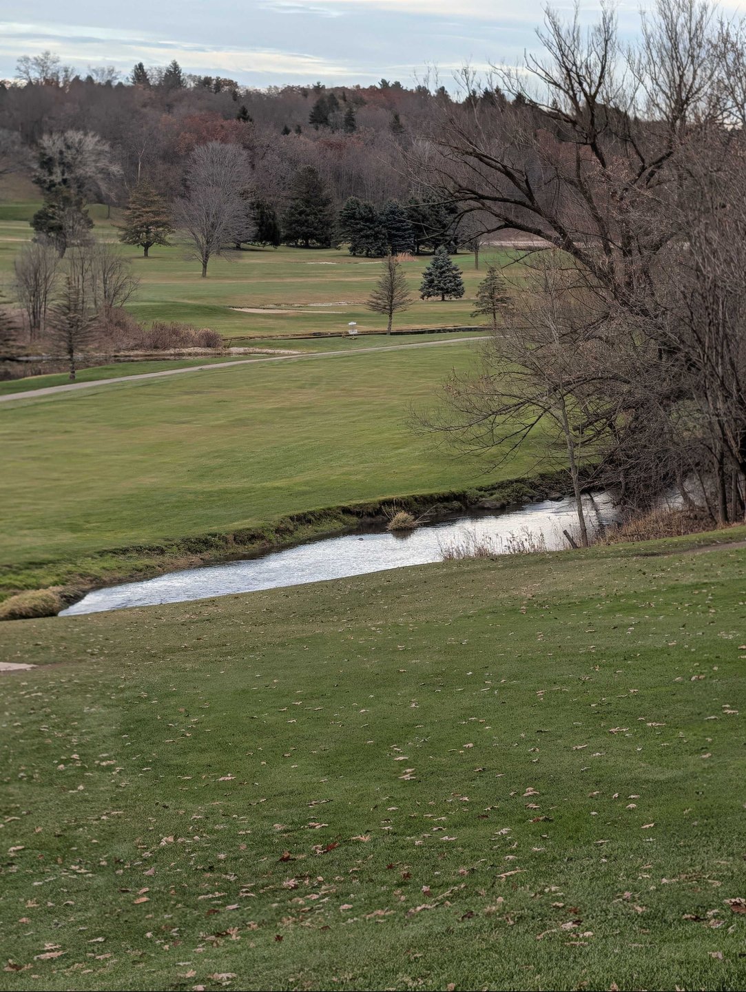basket location zoomed in from long tee