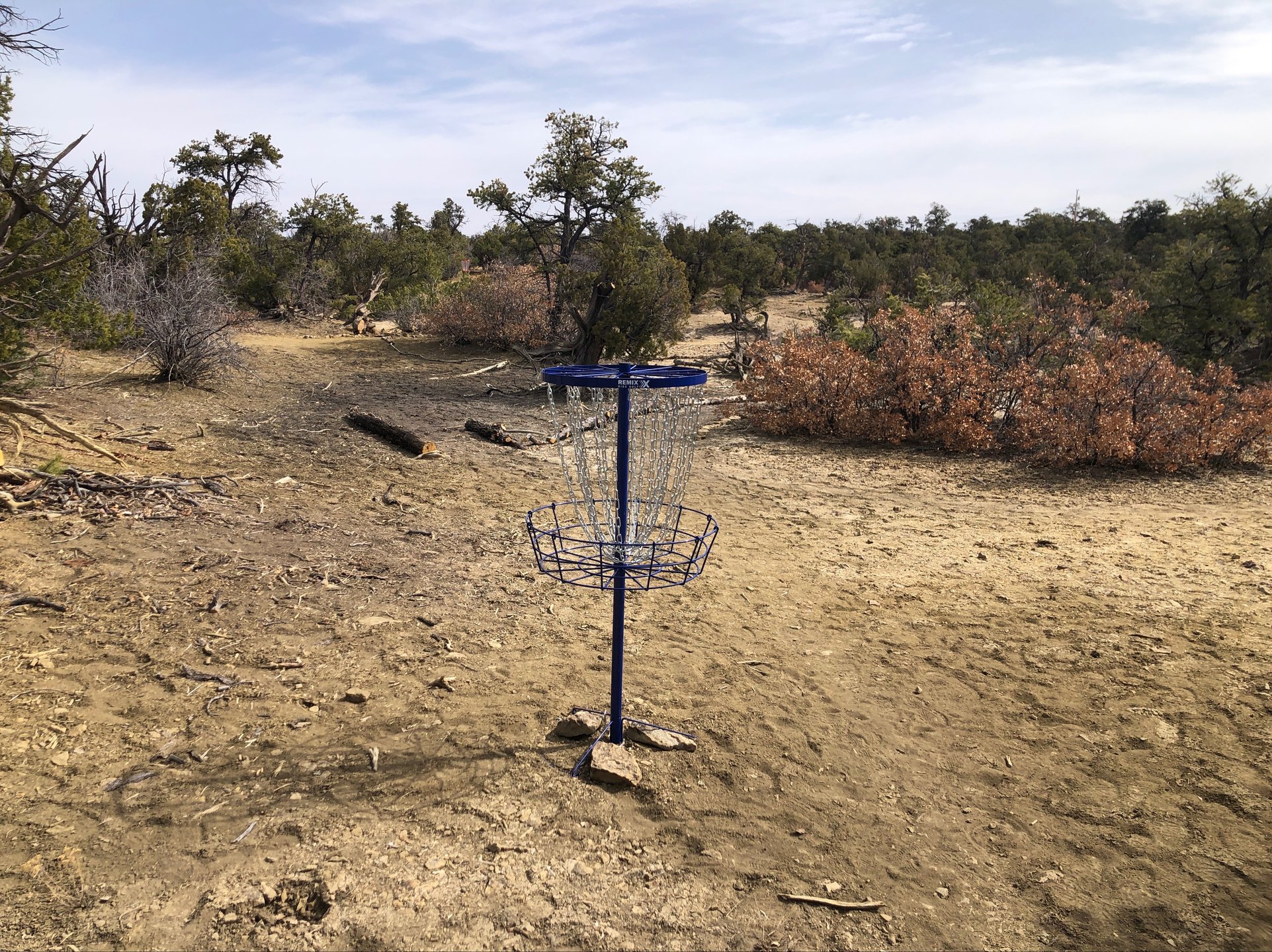 Basket 5 is a par 4 and the longest hole on the course at 375’