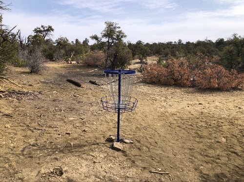 Basket 5 is a par 4 and the longest hole on the course at 375’