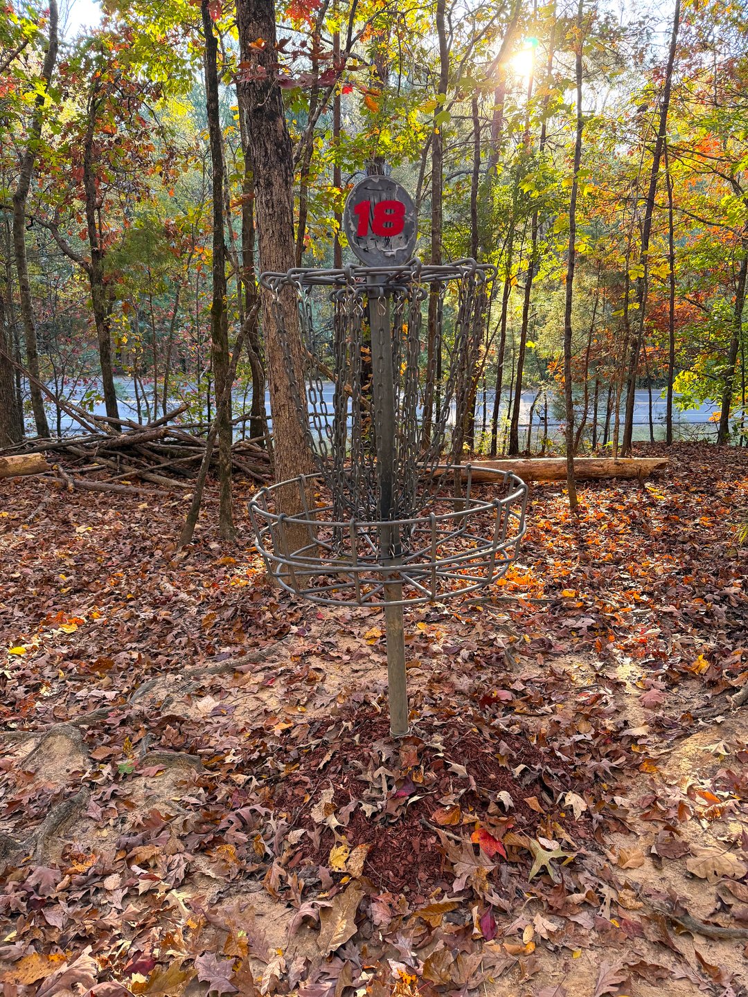 Hole 18 Basket