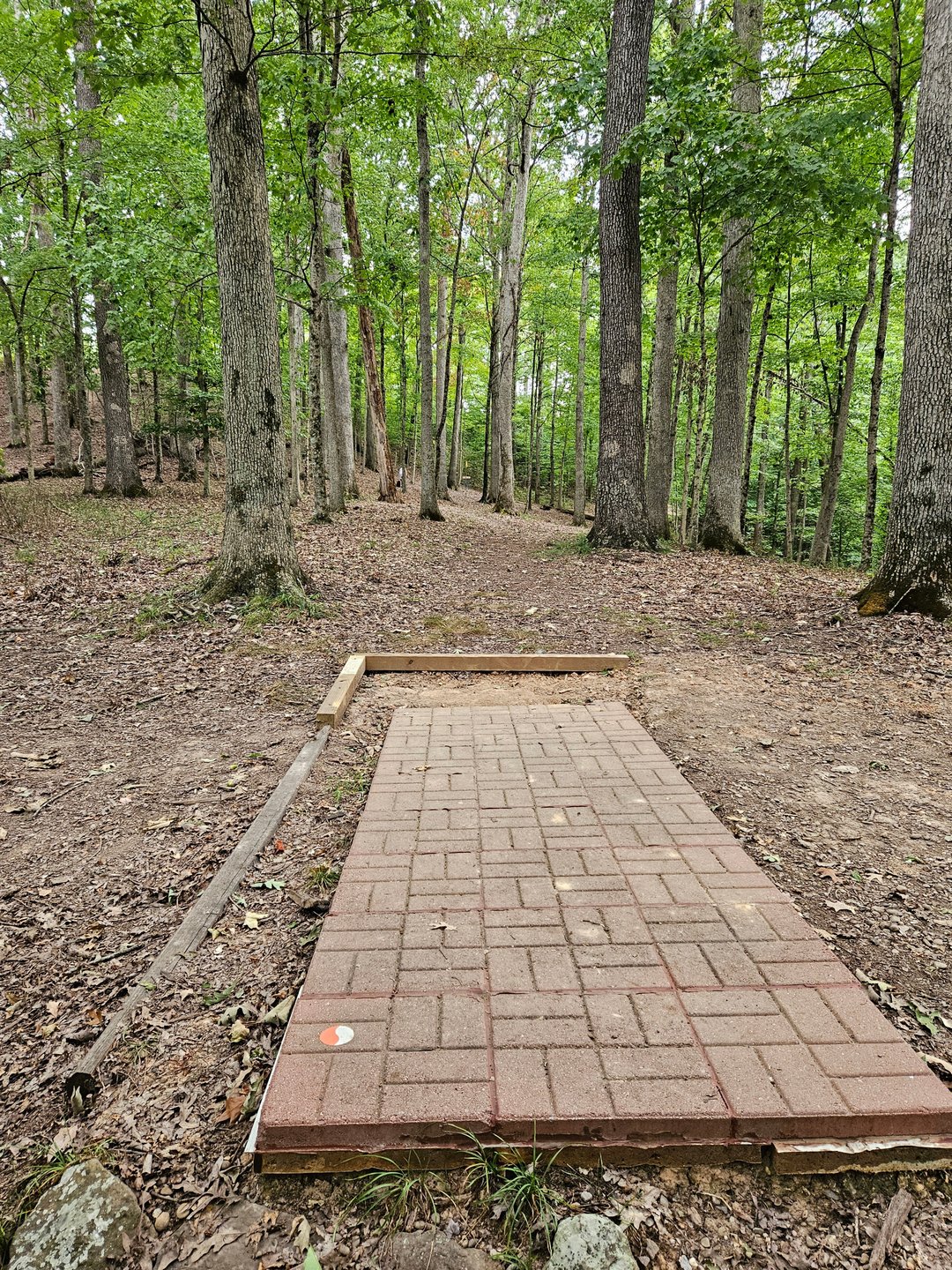 Tee Pad. Basket Straight.