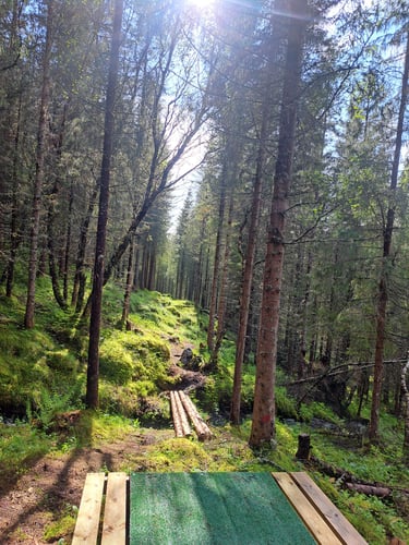 Mosvoldskogen Diskgolfbane. The most challenging course in the arctic