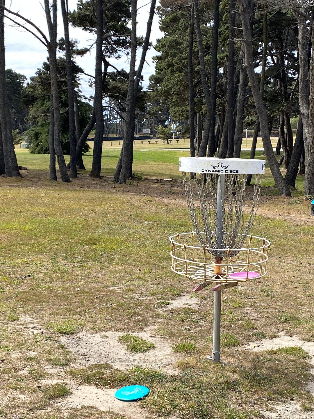 Shared basket for Holes 7 and 16 on the Main layout and Holes 11A and 26A on the Bandon 30 layout.
