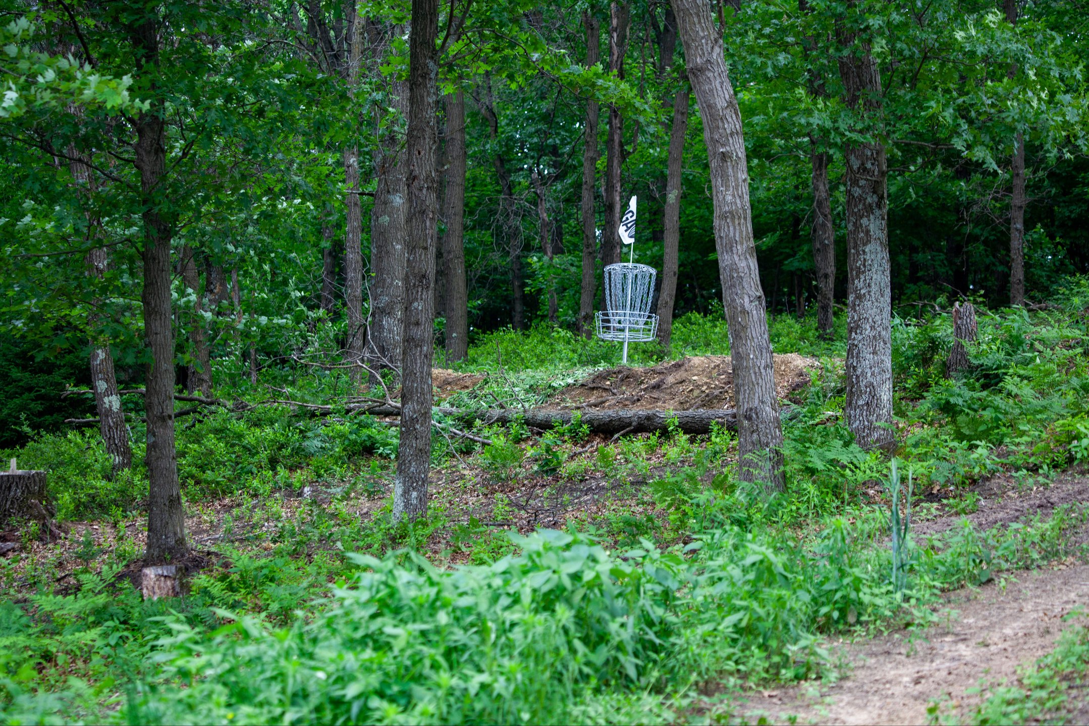 Sweet Basket placement on Hole 3