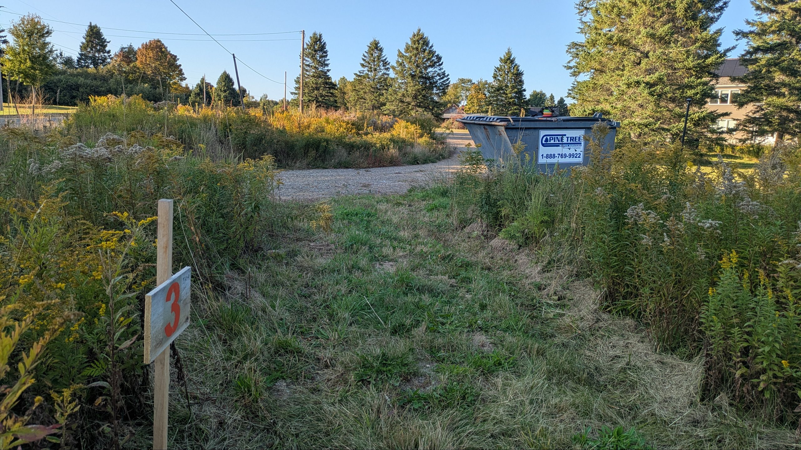 Hole 3 tee toward the target which is across the dirt road  and well into the unseen in this shot grassy area