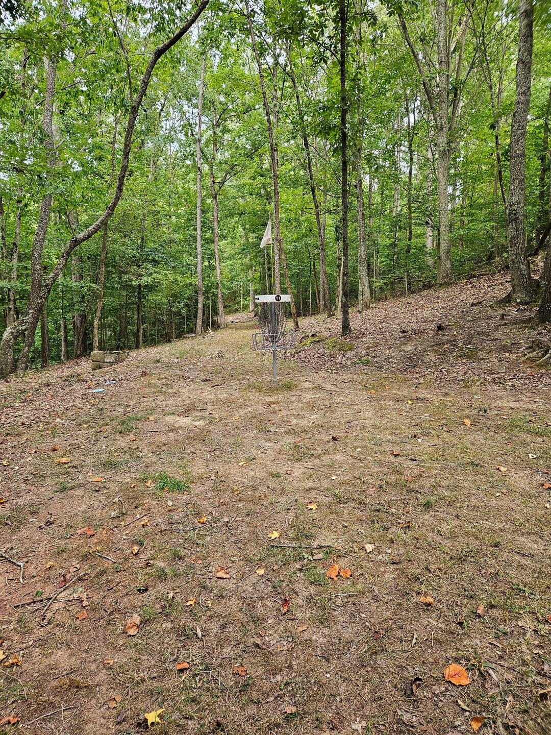Behind Short Basket, Looking back down fairway.