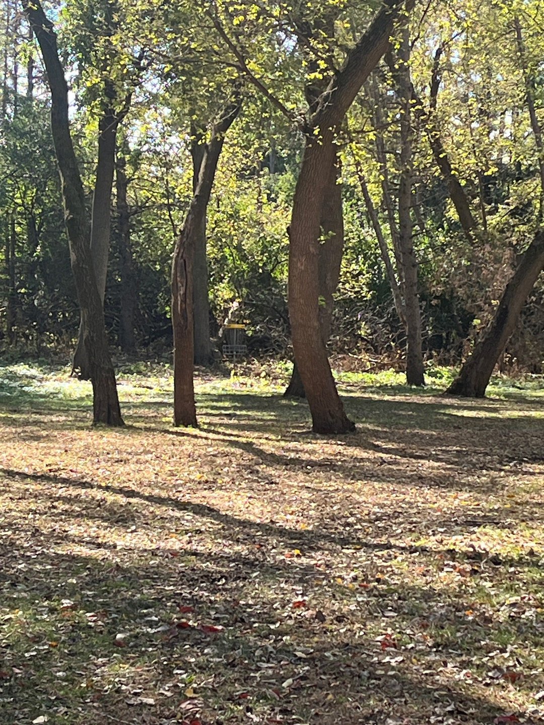 11 approach