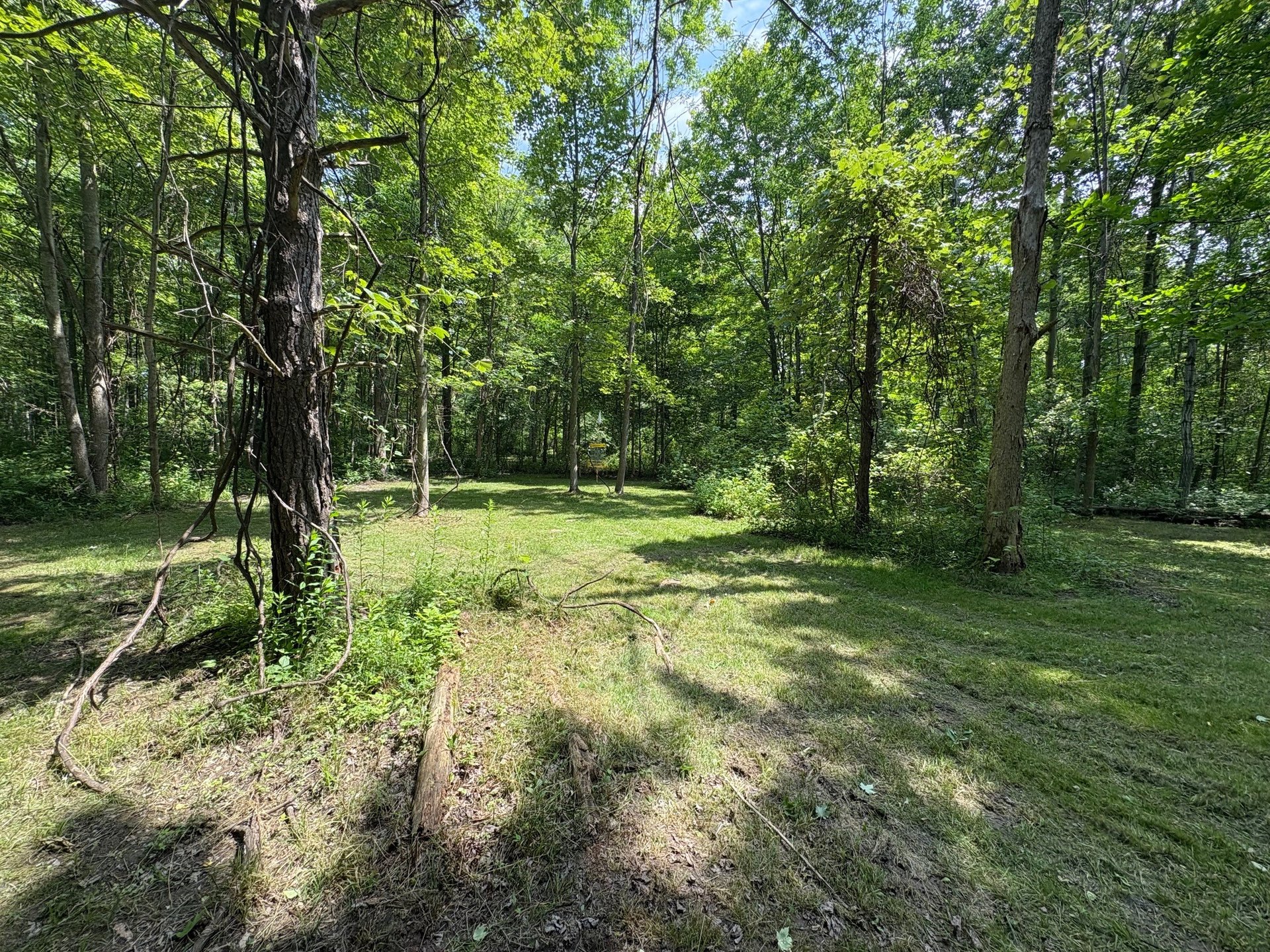 View from fairway towards basket 7