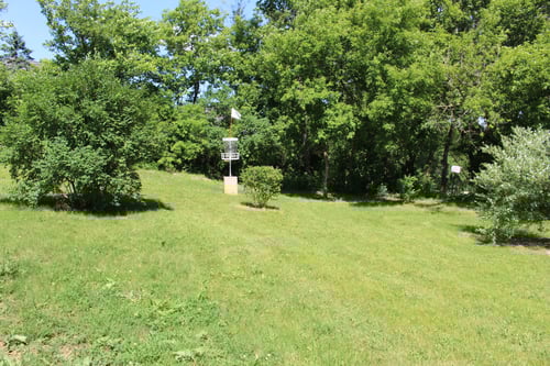 #3: Green guarded by shrubs. Elevated basekt.
