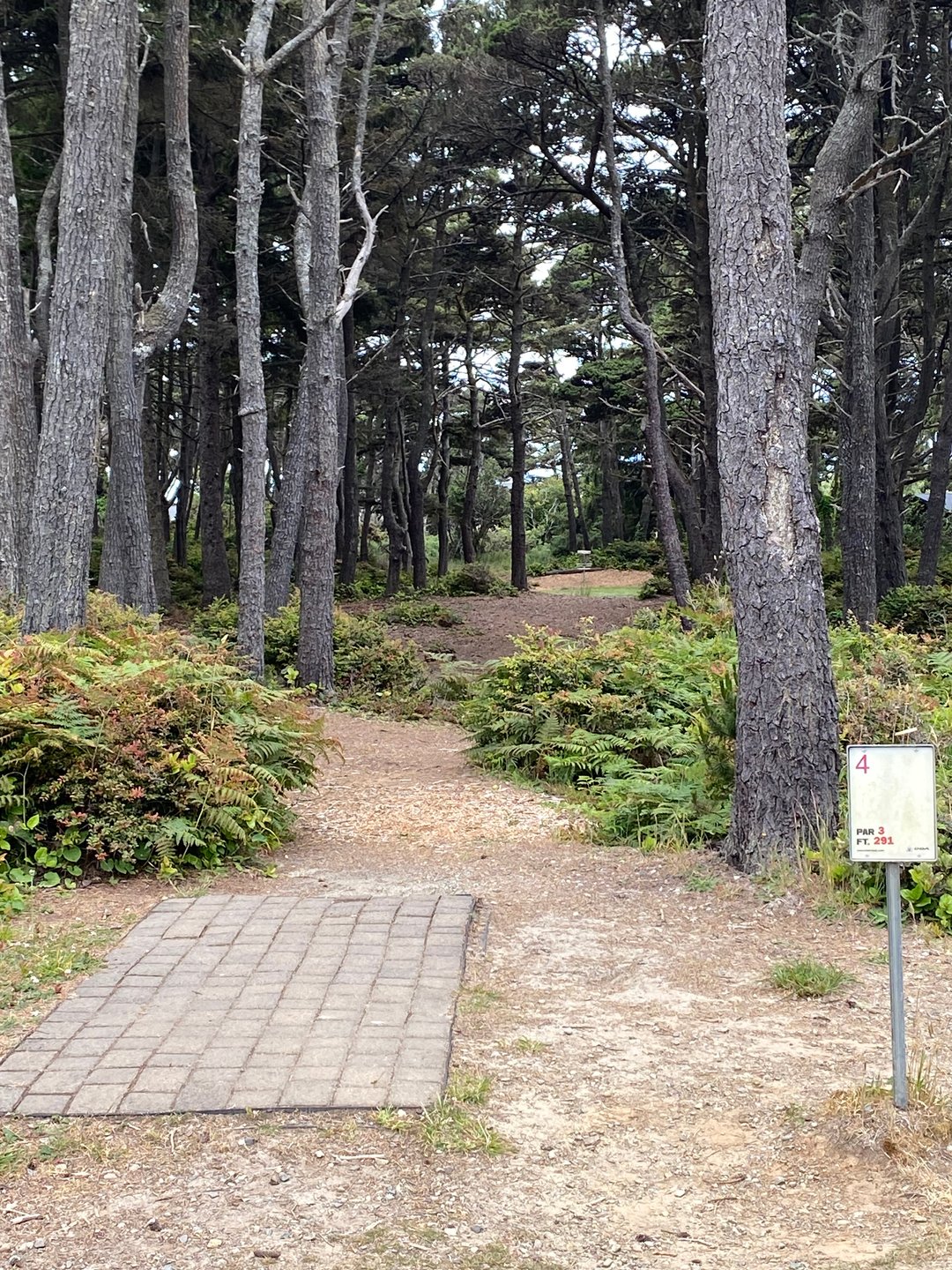 Tee Pad for Hole 4 on the Main layout and Hole 5A on the Bandon 30 layout.