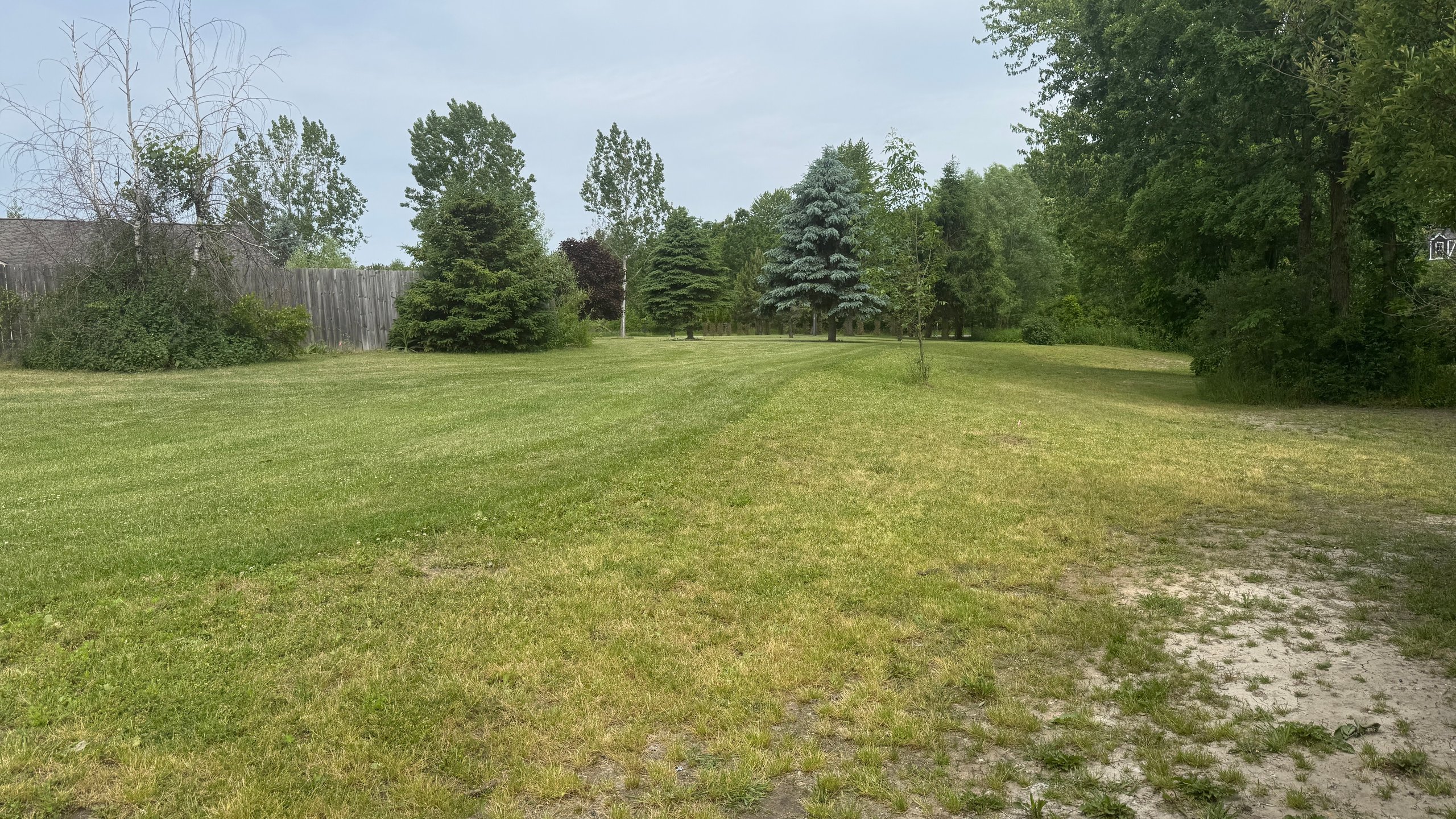Hole 3 tee