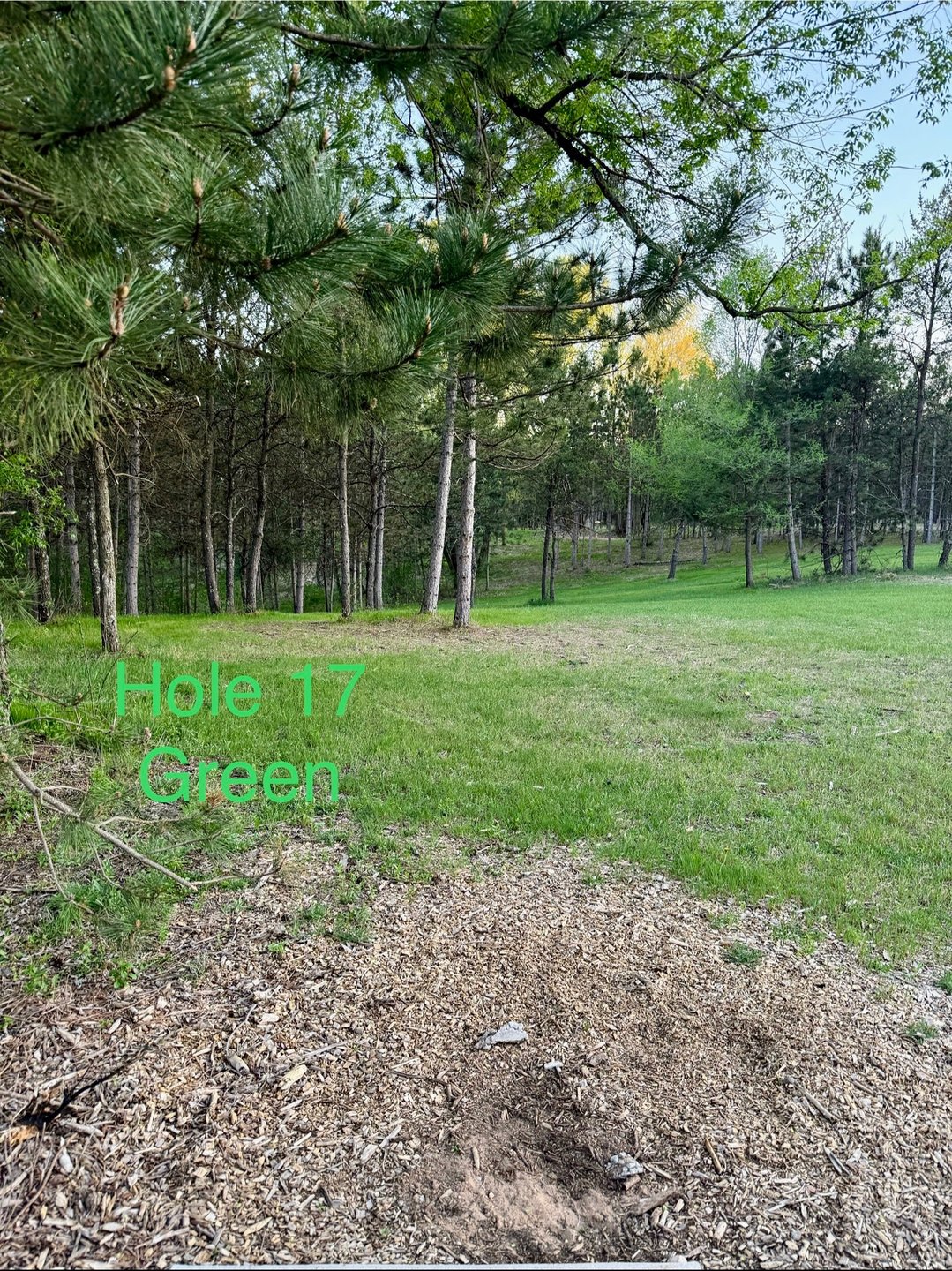 Green - Short Teepad
