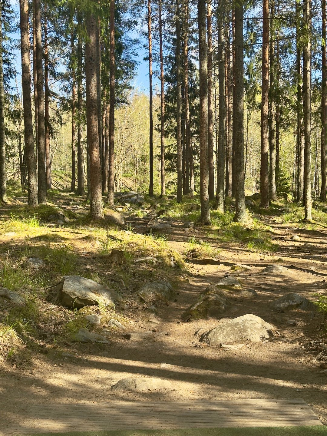 Väylä 6