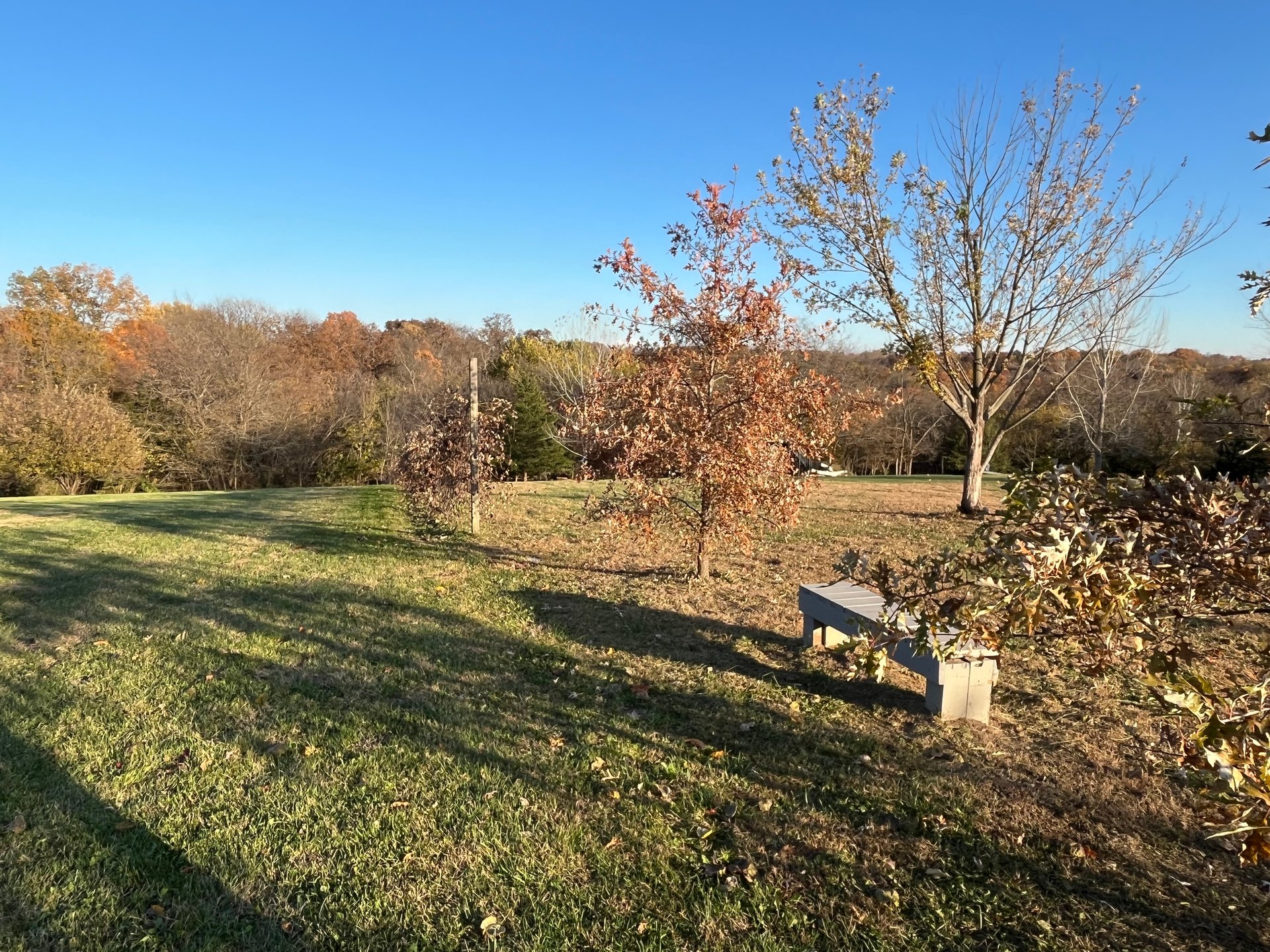 grass t-pad, see paver