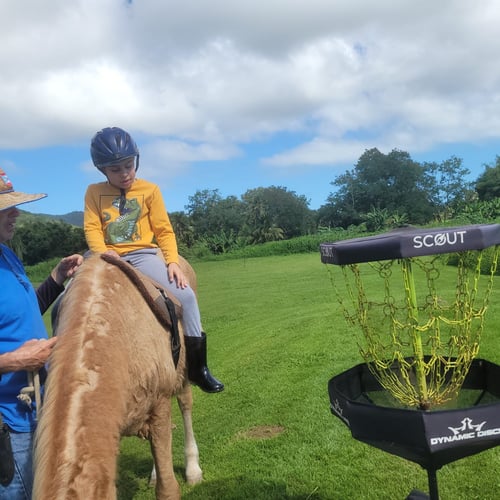 Equinoterapia - Equine Therapy happening at the Caribbean Ability Park - 