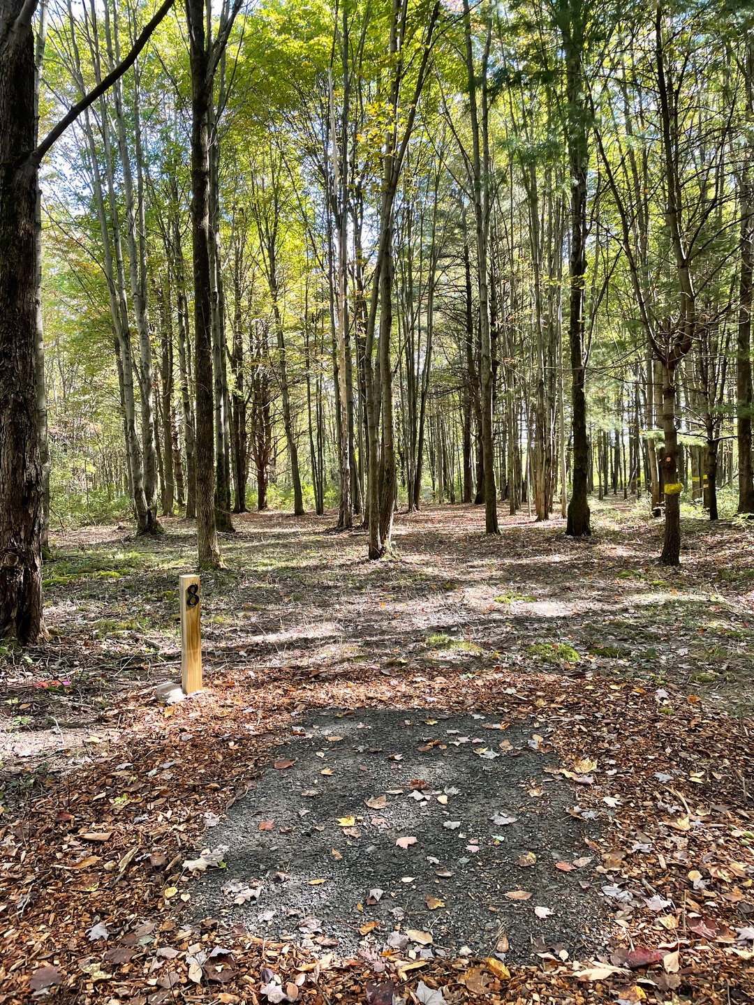 Hole 8, Tee. 