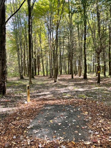 Hole 8, Tee. 