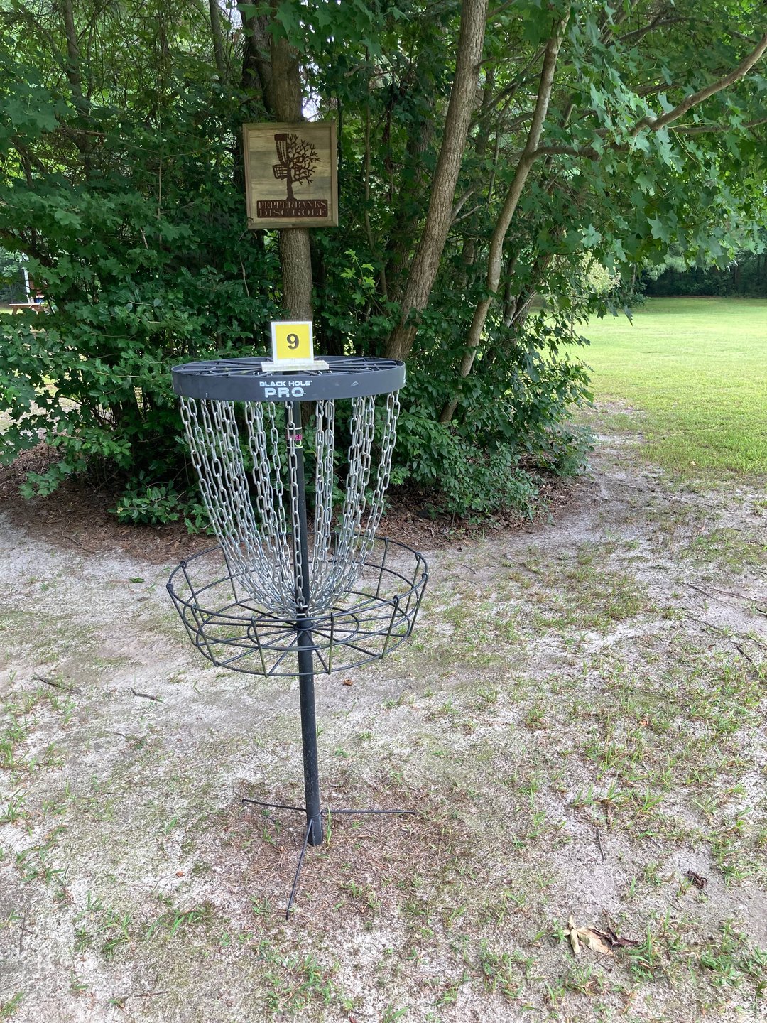 Hole 9 basket 