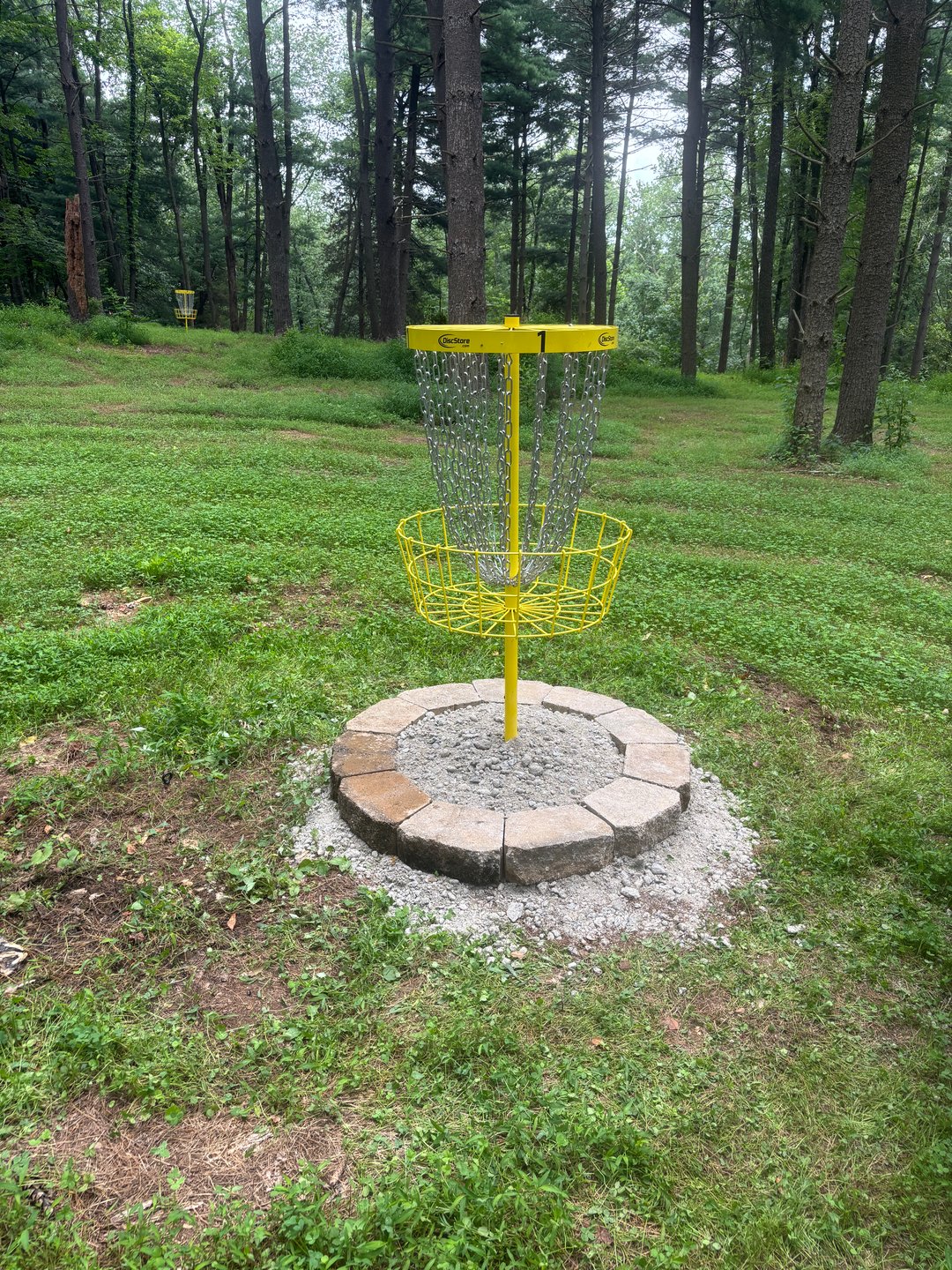 Round Table - basket 