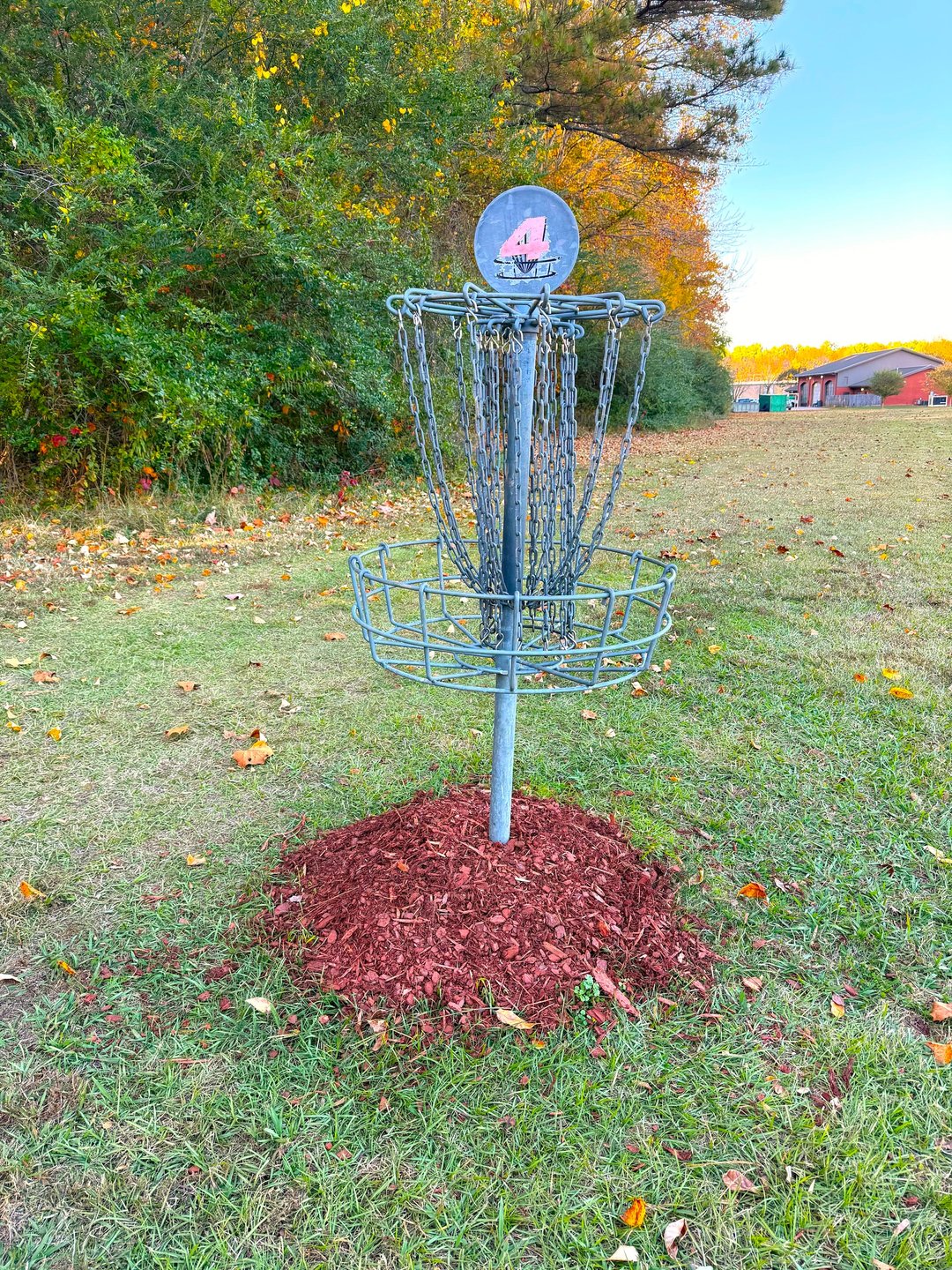Hole 4 Basket