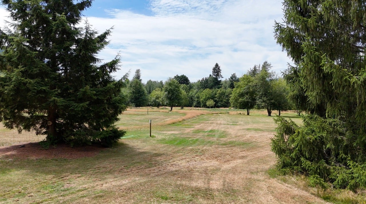 Hole 2 fairway and short T